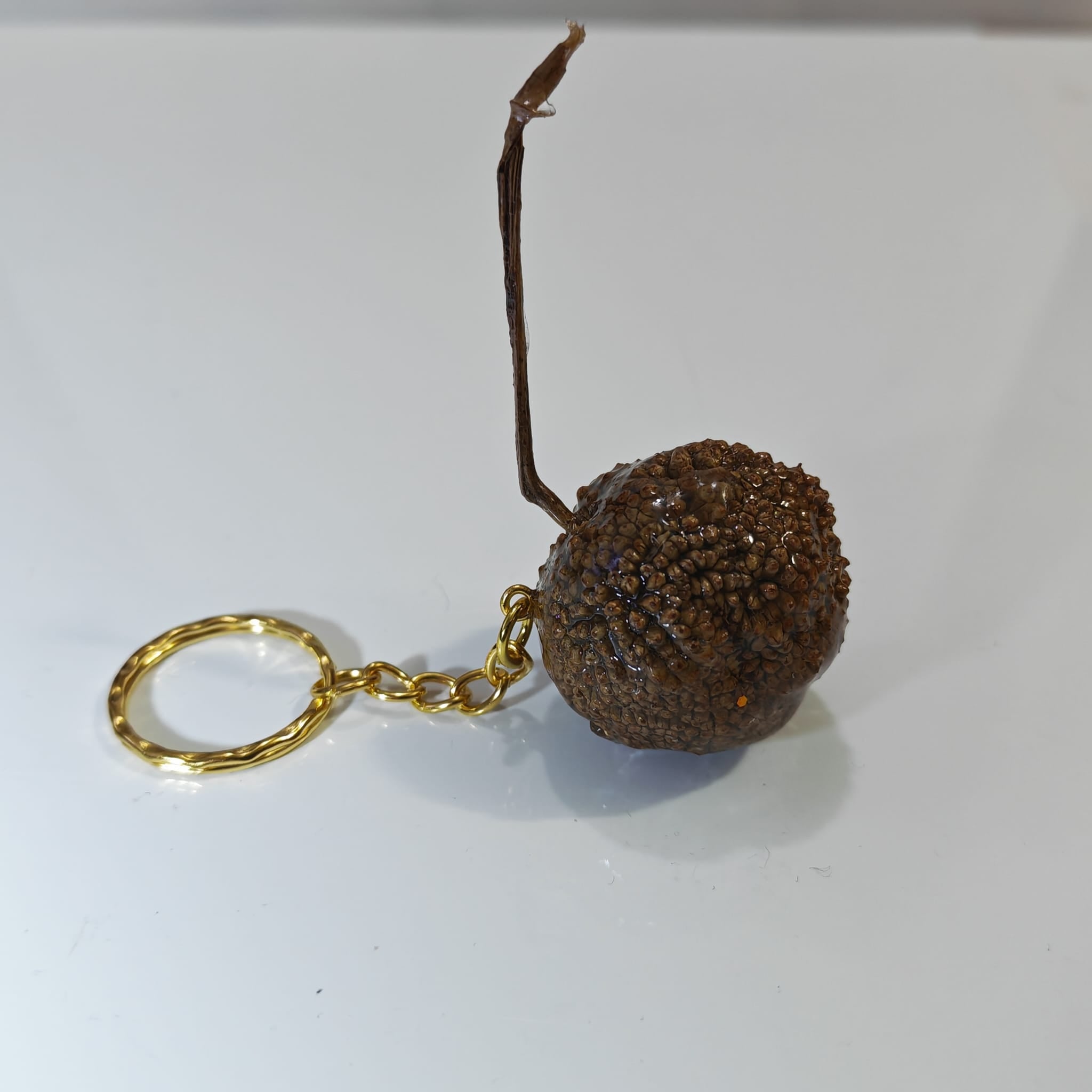 🌰 Porta chaves Natural com Fruto Seco Vernizado - 3,00 € - PORTES GRÁTIS