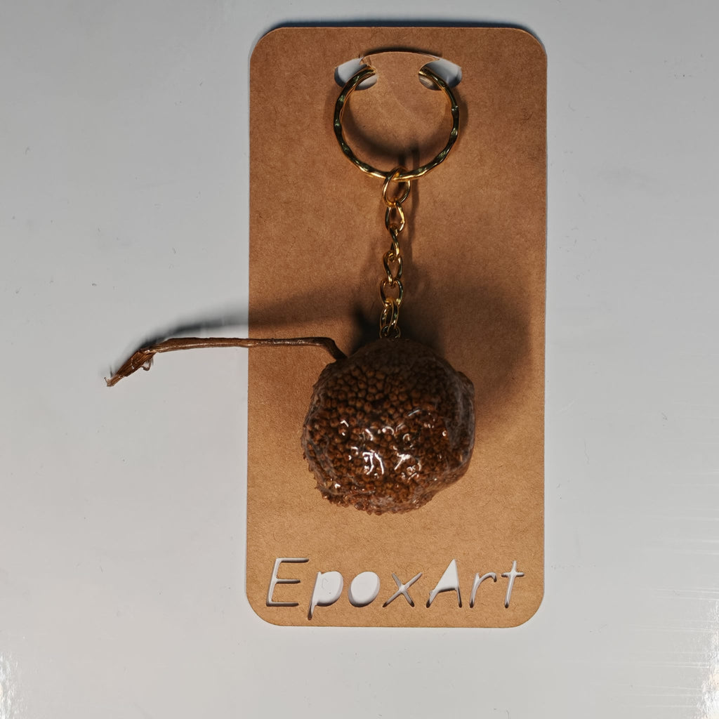 🌰 Porta chaves Natural com Fruto Seco Vernizado - 3,00 € - PORTES GRÁTIS